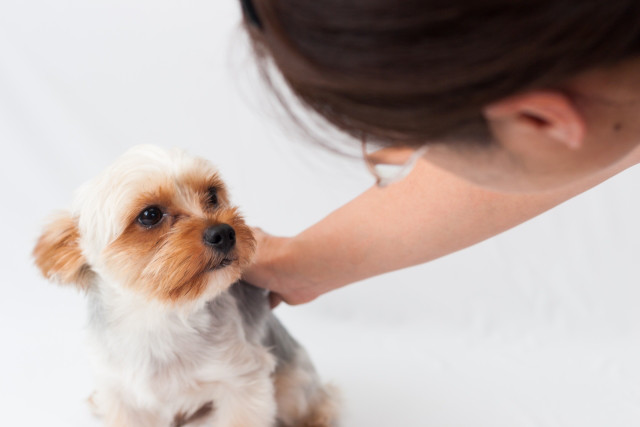 「別れ　死別」の画像検索結果