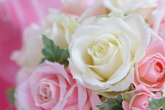 ããã©ãé£ã¹ãå¤¢ãã®ç»åæ¤ç´¢çµæ