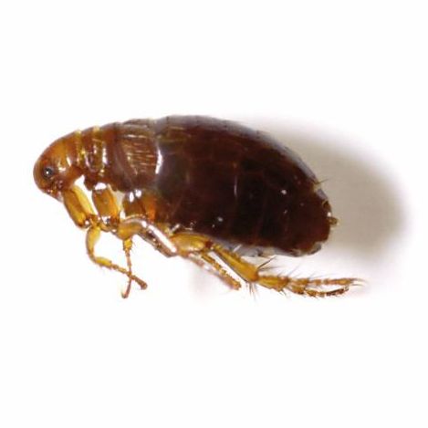 ããì ëí ì´ë¯¸ì§ ê²ìê²°ê³¼