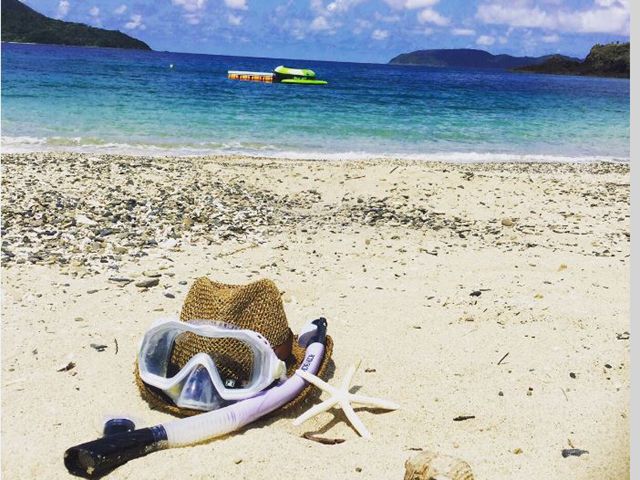 ãªã¾ããæµ·ì ëí ì´ë¯¸ì§ ê²ìê²°ê³¼