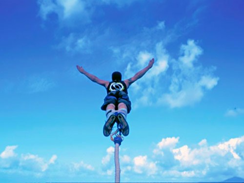 åºæ¿ì ëí ì´ë¯¸ì§ ê²ìê²°ê³¼