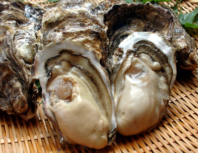 ãé£ã¹ç©ãæ´å¹´æãç·æ§ãã®ç»åæ¤ç´¢çµæ