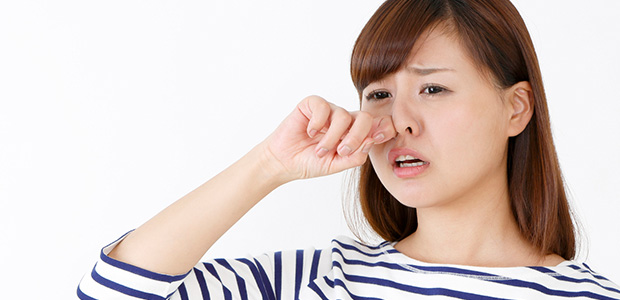 é¼»ã¥ã¾ãì ëí ì´ë¯¸ì§ ê²ìê²°ê³¼