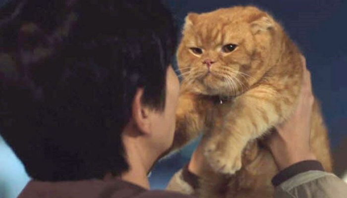 ì¸ì¬ì´í¸