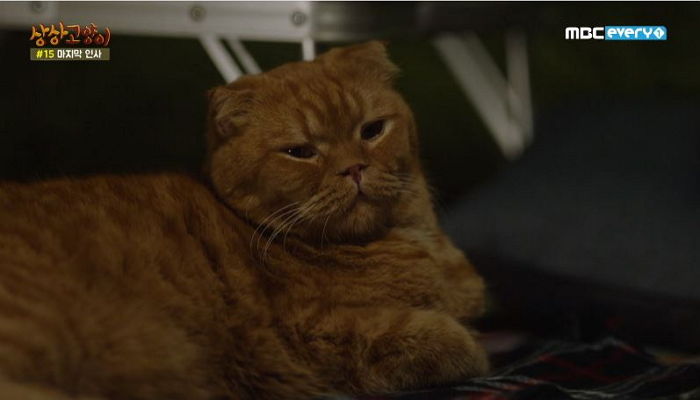 ì¸ì¬ì´í¸