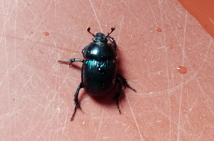 ì¸ì¬ì´í¸