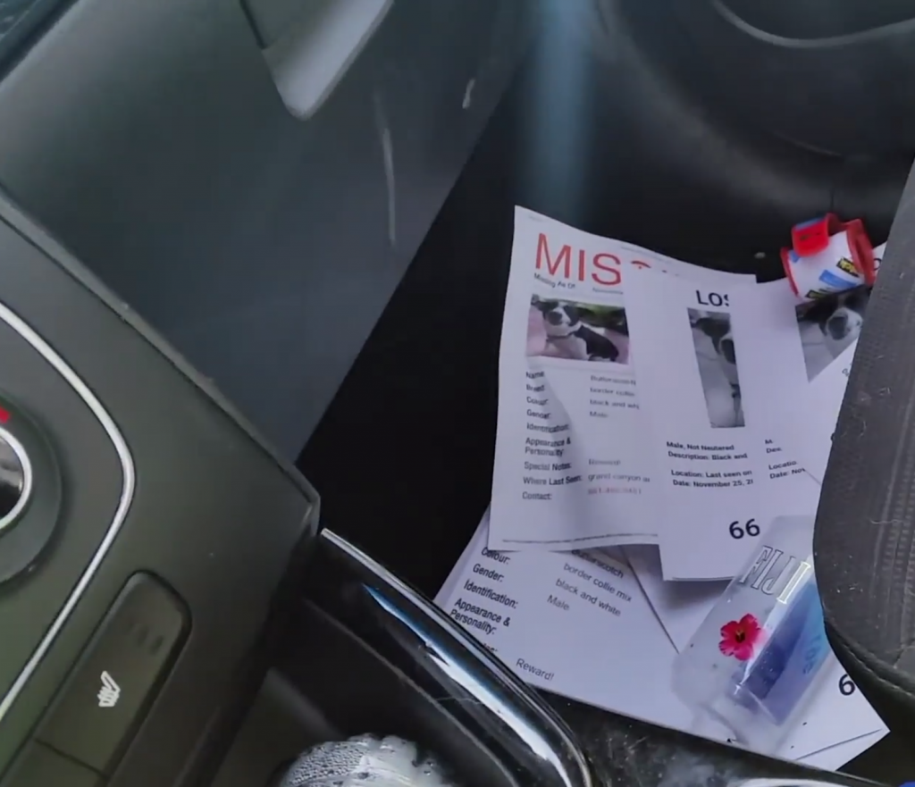 missing-2