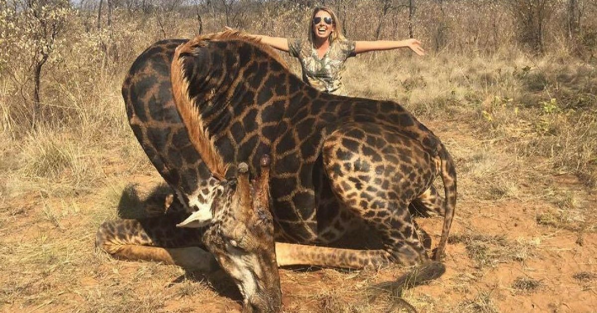 Une chasseuse suscite l'indignation en posant avec une «rare» girafe