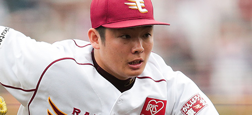 Image result for æ¾äºè£æ¨¹