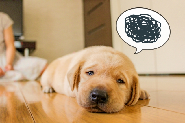 Image result for ç²ãã