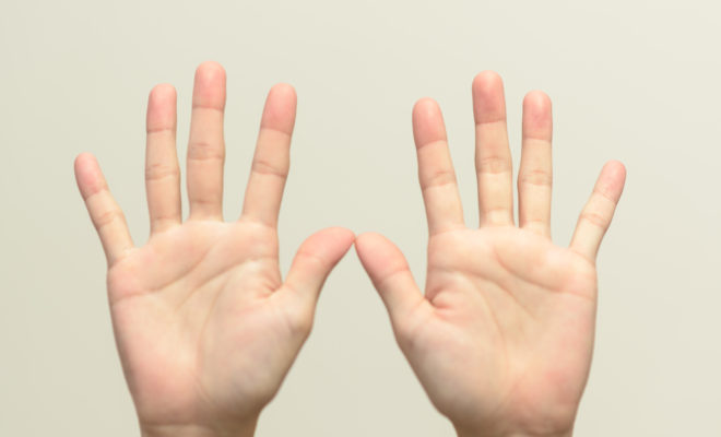 Image result for çå½ç·ãèã