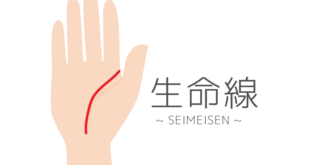 Image result for æç¸ãçå½ç·