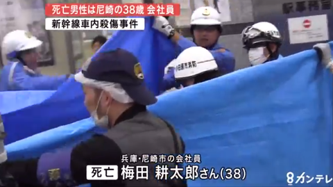 Image result for æ¢ç°èå¤ªé