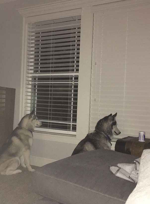 One Is Smarter Than The Other