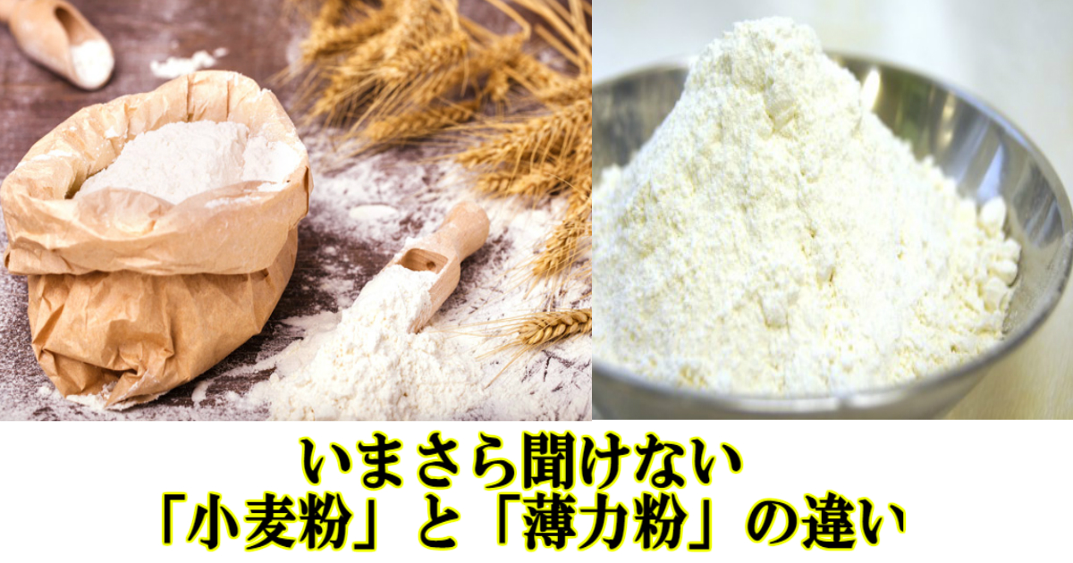 【主婦必見】【料理上手への第一歩】いまさら聞けない「小麦粉」と「薄力粉」の違いって何？徹底解説！ Hachibachi