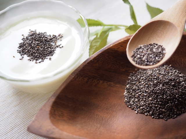 ãã¢ã·ã¼ãì ëí ì´ë¯¸ì§ ê²ìê²°ê³¼