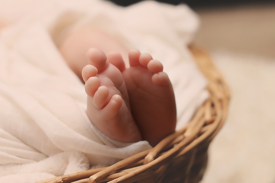 baby pixabayì ëí ì´ë¯¸ì§ ê²ìê²°ê³¼