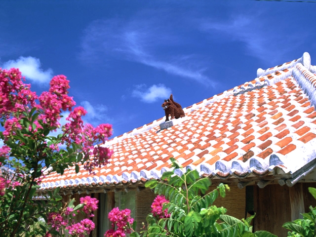 Image result for 沖縄