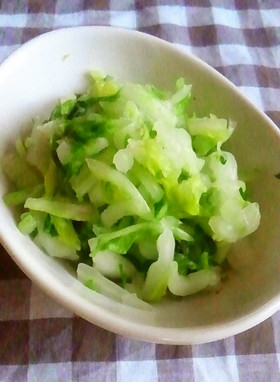 ç½èãæ¼¬ç©ì ëí ì´ë¯¸ì§ ê²ìê²°ê³¼