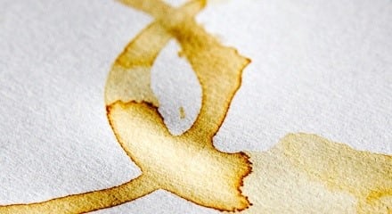 coffee stain