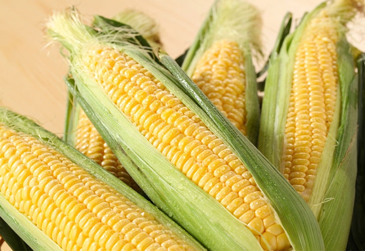 ã¨ãããããì ëí ì´ë¯¸ì§ ê²ìê²°ê³¼