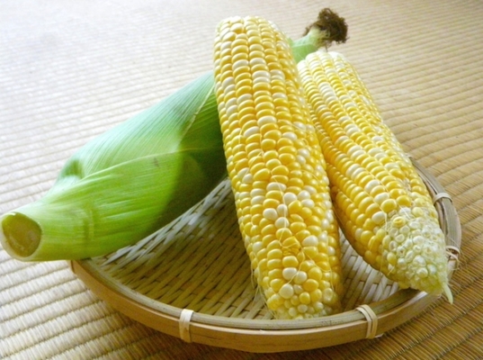 ã¨ããããããå·åä¿åì ëí ì´ë¯¸ì§ ê²ìê²°ê³¼