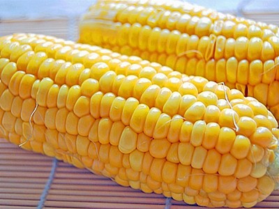 ã¨ãããããì ëí ì´ë¯¸ì§ ê²ìê²°ê³¼