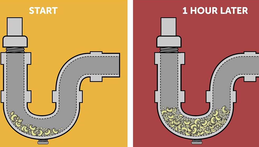 Don't Clog Your Drain. Here Are 11 Surprising Things You Shouldn't Flush Down The Drain Small Joys
