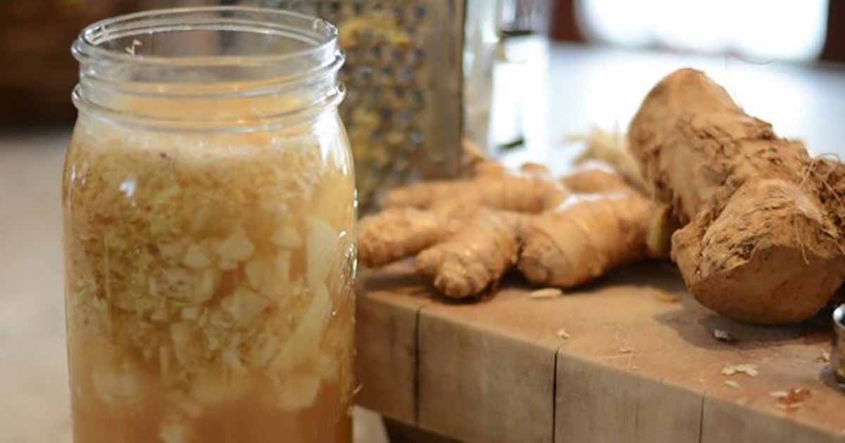 Image result for onions ginger honey or maple syrup turmeric powder