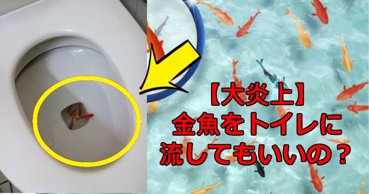 金魚をトイレに流す動画＆りにゃボコの顔画像アリ！下水処理の仕組み解説