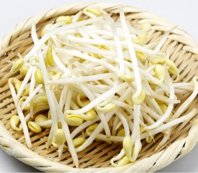 ãããì ëí ì´ë¯¸ì§ ê²ìê²°ê³¼