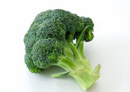 ãããã³ãªã¼ì ëí ì´ë¯¸ì§ ê²ìê²°ê³¼