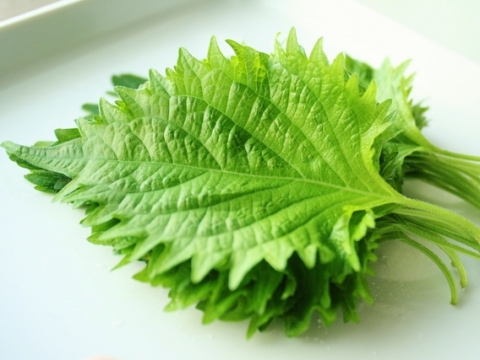 å¤§èì ëí ì´ë¯¸ì§ ê²ìê²°ê³¼