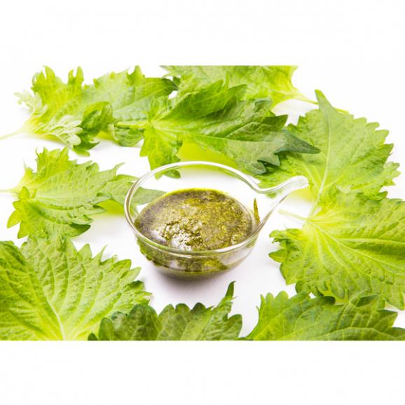 å¤§èã¸ã§ããã¼ã¼ì ëí ì´ë¯¸ì§ ê²ìê²°ê³¼