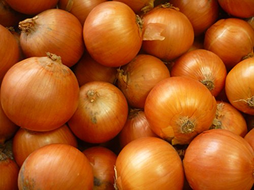 çããì ëí ì´ë¯¸ì§ ê²ìê²°ê³¼