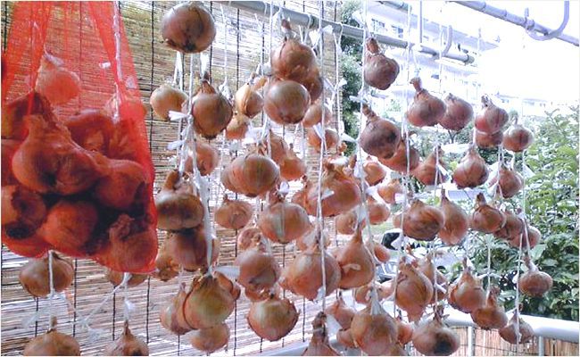 çãããä¿åæ¹æ³ãã¹ãããã³ã°ì ëí ì´ë¯¸ì§ ê²ìê²°ê³¼