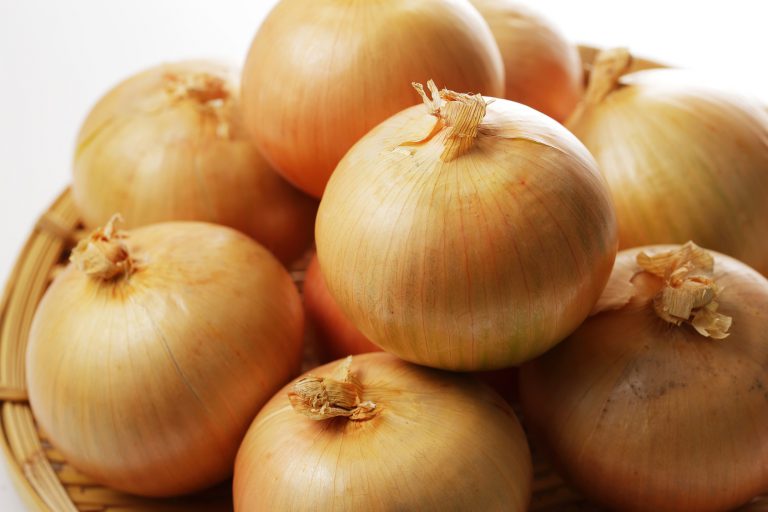 çãããä¿åæ¹æ³ì ëí ì´ë¯¸ì§ ê²ìê²°ê³¼