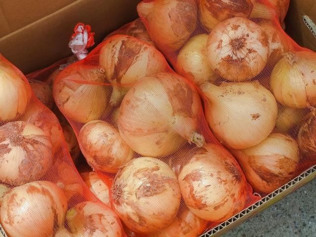 çãããä¿åæ¹æ³ì ëí ì´ë¯¸ì§ ê²ìê²°ê³¼