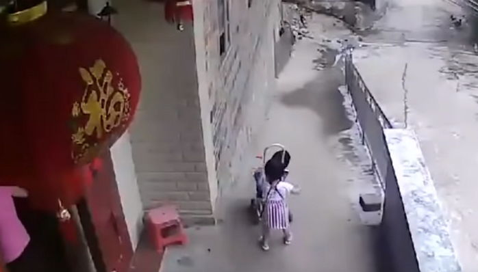 인사이트