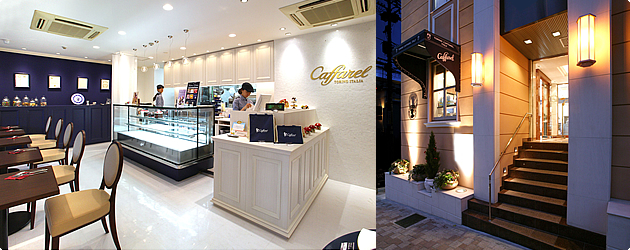 ç¥æ¸ãã«ãã¡ã¬ã«ì ëí ì´ë¯¸ì§ ê²ìê²°ê³¼