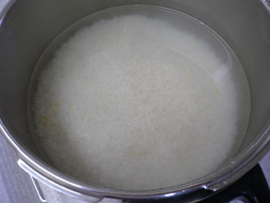 ãç±³ãæµ¸æ°´ì ëí ì´ë¯¸ì§ ê²ìê²°ê³¼