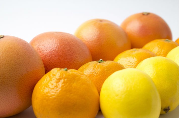 æ¥æ¬ã®ãã«ã³ì ëí ì´ë¯¸ì§ ê²ìê²°ê³¼