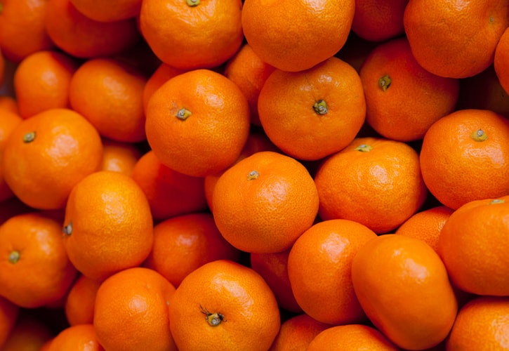 ã¿ããì ëí ì´ë¯¸ì§ ê²ìê²°ê³¼