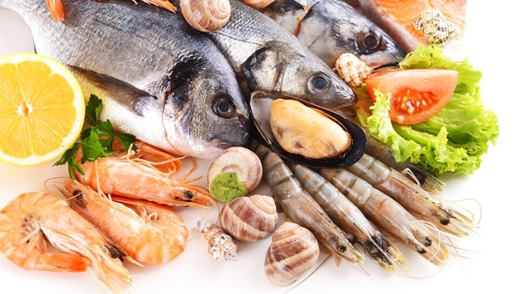 æµ·é®®ãì ëí ì´ë¯¸ì§ ê²ìê²°ê³¼