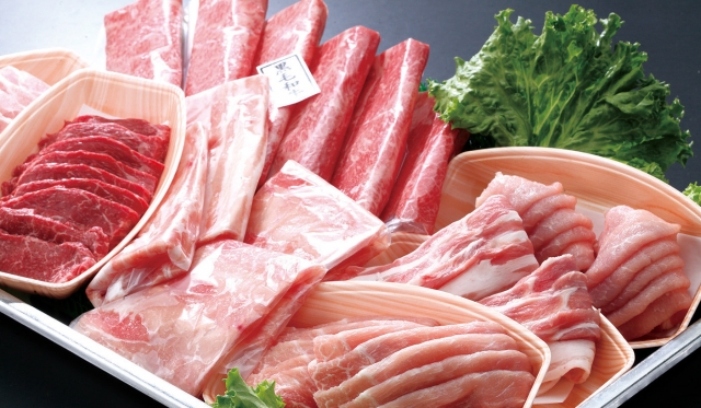 è±ãé³¥ãçì ëí ì´ë¯¸ì§ ê²ìê²°ê³¼