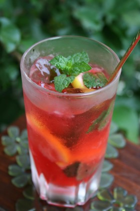 ã¢ãã¼ããã«ã³ããªã¢ãã¼ãì ëí ì´ë¯¸ì§ ê²ìê²°ê³¼