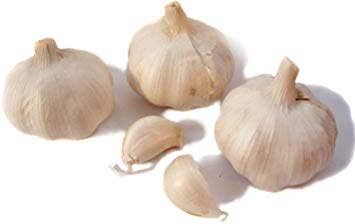 Image result for fresh garlic.