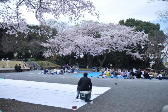 ãå
¬åã2次ä¼ãçä¸ãã®ç»åæ¤ç´¢çµæ