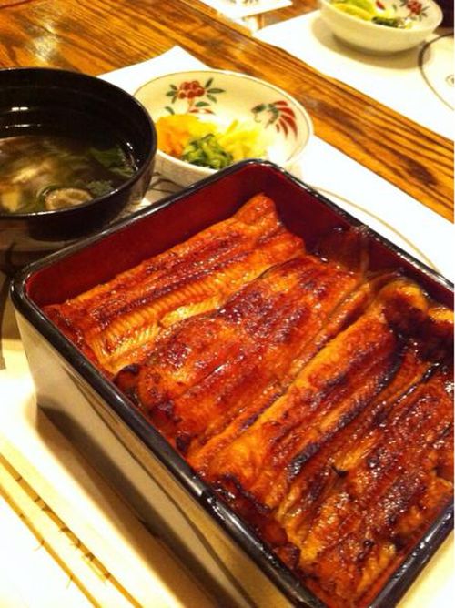 ãã¡ã®ãï¼ç¥æ³ï¼ì ëí ì´ë¯¸ì§ ê²ìê²°ê³¼