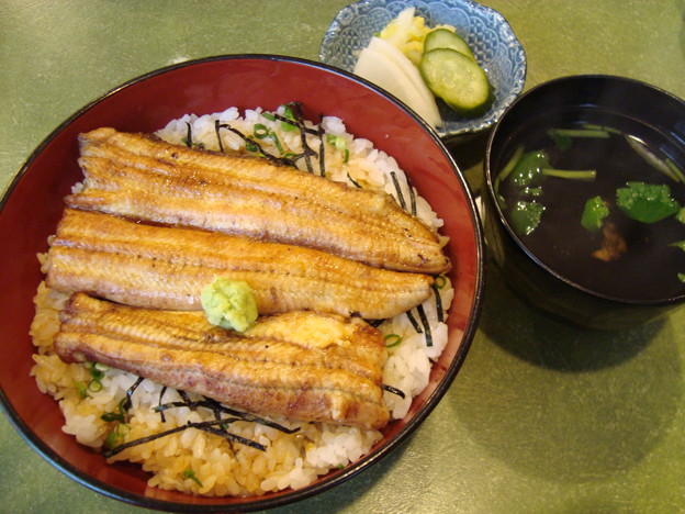 äººå½¢çº æ¢ç°(äººå½¢çº) æ¢ç°ä¸¼ì ëí ì´ë¯¸ì§ ê²ìê²°ê³¼